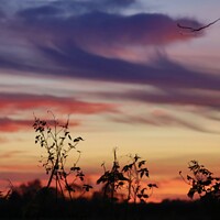 Buy canvas prints of Beautiful sunset  by Sam Owen