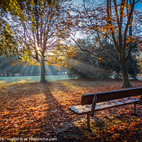 Buy canvas prints of Bench by Tom Curtis