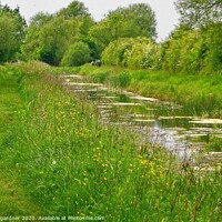 Buy canvas prints of Nature Reserve by andrew gardner