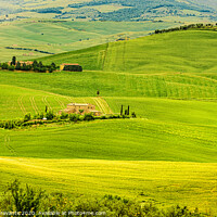 Buy canvas prints of Typical landscape of the Tuscan hills in Italy by Antonio Gravante