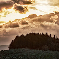 Buy canvas prints of Tuscan landscape with cypress and sunbeams at sunset. by Antonio Gravante