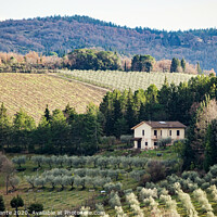 Buy canvas prints of Tuscan landscape with cypress, trees and ancient buildings. by Antonio Gravante