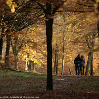 Buy canvas prints of Autumn Stroll by Chris Bos