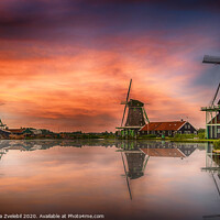 Buy canvas prints of Zaanse Schans Windmills at sunset with reflections. by Marketa Zvelebil