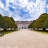 Buy canvas prints of Yew Trees Hampton Court Palace  by Hiran Perera