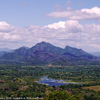 Buy canvas prints of View from Sigiriya rock fortress, Sri Lanka by Hiran Perera