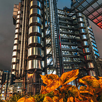 Buy canvas prints of Lloyds Buildings at Night, City of London by Hiran Perera