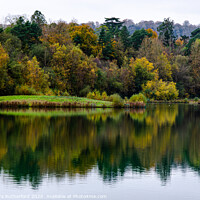 Buy canvas prints of Woodland Lake Reflection by Alexandra Rutherford