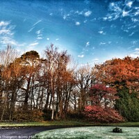 Buy canvas prints of The Autumn Colours of Kingencleugh by Cris Thompson-Brooks