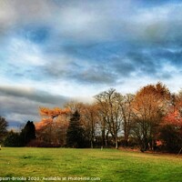 Buy canvas prints of Autumn weather by Cris Thompson-Brooks