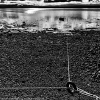 Buy canvas prints of Mooring in Mono by Mike Byers