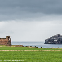 Buy canvas prints of Tantallon Castle and Bass Rock by Mike Byers