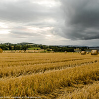 Buy canvas prints of "Dramatic Autumn Harvest: Stormy Barley Straw Bale by Mike Byers