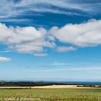 Buy canvas prints of "A Breathtaking Tapestry of East Lothian" by Mike Byers