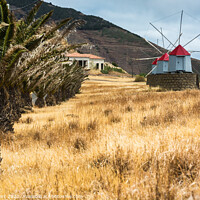 Buy canvas prints of Serene Hills of Porto Santo by Mike Byers