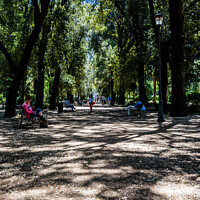 Buy canvas prints of Tranquility in Villa Borghese Park by Mike Byers