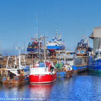 Buy canvas prints of Macduff Harbour And Boat Builders Yard Banffshire Scotland  by OBT imaging