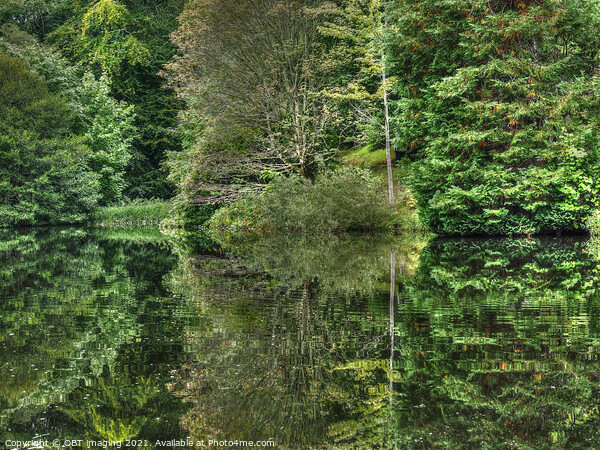 Highland Scotland Fairytale Lochan Reflection Deep In The Forest Picture Board by OBT imaging