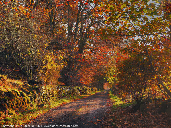 Highland Autumn Splendour October Trail Glenlivet Upper Speyside Scotland Picture Board by OBT imaging
