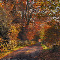 Buy canvas prints of Highland Autumn Splendour October Trail Glenlivet Upper Speyside Scotland by OBT imaging