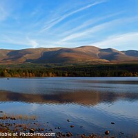 Buy canvas prints of Loch Morlich Autumn Reflection Cairngorm Mountains Highland Scotland by OBT imaging