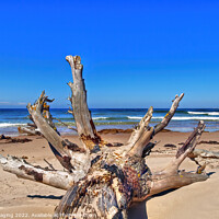 Buy canvas prints of Lossiemouth Beach Morayshire Scotland Delivered By The Storm by OBT imaging