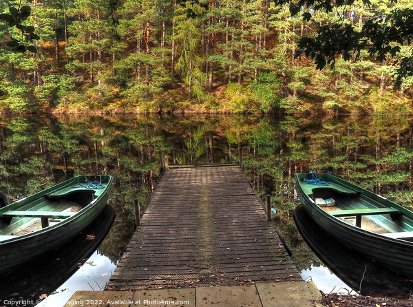 Twin Boat Pine Loch Reflection Millbuies Morayshire  Picture Board by OBT imaging
