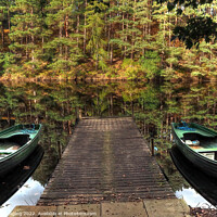 Buy canvas prints of Twin Boat Pine Loch Reflection Millbuies Morayshire  by OBT imaging