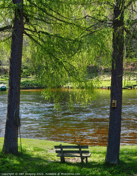 River Spey At Carron Speyside Spring Light Bench Picture Board by OBT imaging