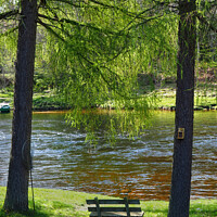 Buy canvas prints of River Spey At Carron Speyside Spring Light Bench by OBT imaging