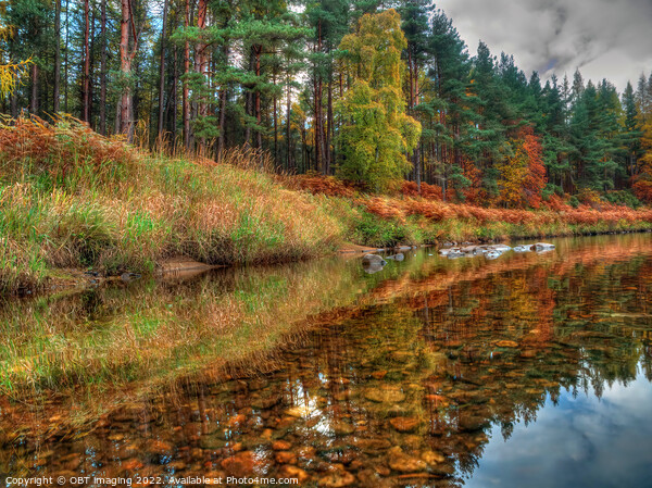 Reflections On The Copper Pebble Whisky Pine River Spey Highland Scotland Picture Board by OBT imaging