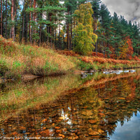 Buy canvas prints of Reflections On The Copper Pebble Whisky Pine River Spey Highland Scotland by OBT imaging