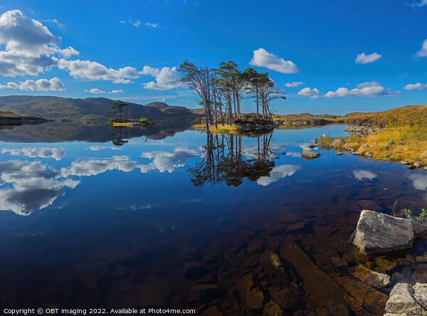 Loch Assynt Autumn Pine Reflection West Highland Scotland Picture Board by OBT imaging