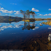Buy canvas prints of Loch Assynt Autumn Pine Reflection West Highland Scotland by OBT imaging