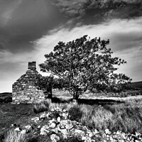 Buy canvas prints of Abandoned House Gable And Tree Highland Scotland by OBT imaging