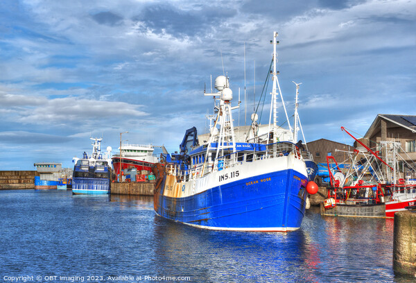 MacDuff Town Harbour Reflection Aberdeenshire Scotland  Ocean Rose INS115 Picture Board by OBT imaging