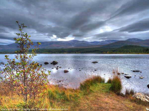 Loch Morlich & Cairngorm Mountains Scottish Highlands Picture Board by OBT imaging
