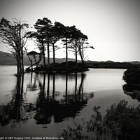 Buy canvas prints of Loch Assynt Sutherland North West Scottish Highlands  by OBT imaging
