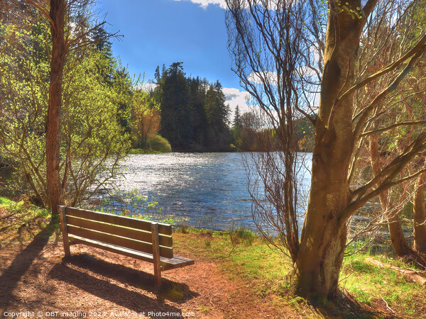 Millbuies Fishing Loch & Country Park Morayshire Scotland Spring Light Rest Picture Board by OBT imaging