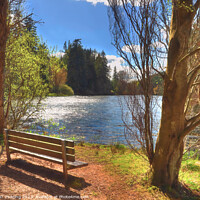 Buy canvas prints of Millbuies Fishing Loch & Country Park Morayshire Scotland Spring Light Rest by OBT imaging