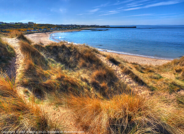 Hopeman Beach Morayshire Scotland Golden Shorelight Paths Picture Board by OBT imaging