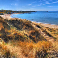 Buy canvas prints of Hopeman Beach Morayshire Scotland Golden Shorelight Paths by OBT imaging