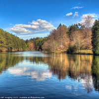 Buy canvas prints of Reflections On A Fairy Tale Evergreen Loch Scottis by OBT imaging