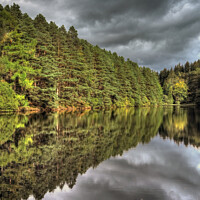 Buy canvas prints of Millbuies Fishing Loch & Forest Walks Morayshire Scotland Drama Reflections by OBT imaging