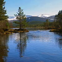 Buy canvas prints of Loch Morlich & Cairngorm Mountains Scottish Highlands by OBT imaging