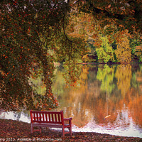 Buy canvas prints of Autumn Glory Reflections Lake Path & Beech Bench by OBT imaging