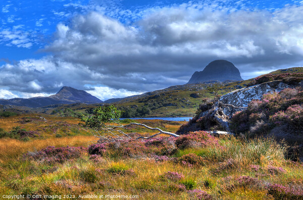 Suliven & Canisp Mountains Assynt Scotland At GlenCanisp Picture Board by OBT imaging