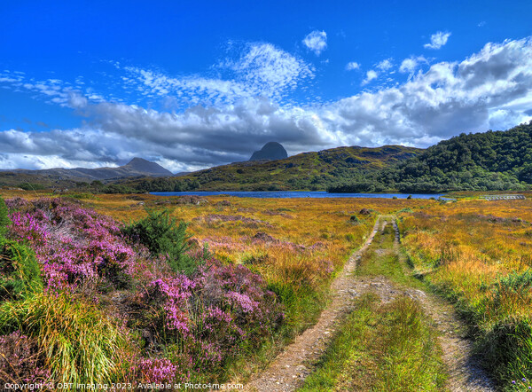 Suliven & Canisp Mountains Assynt Highland Scotland Glencanisp Track Picture Board by OBT imaging