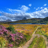 Buy canvas prints of Suliven & Canisp Mountains Assynt Highland Scotland Glencanisp Track by OBT imaging