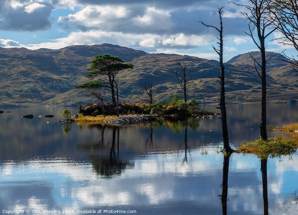 Assynt Loch & Tree Reflections Scottish Highlands  Picture Board by OBT imaging